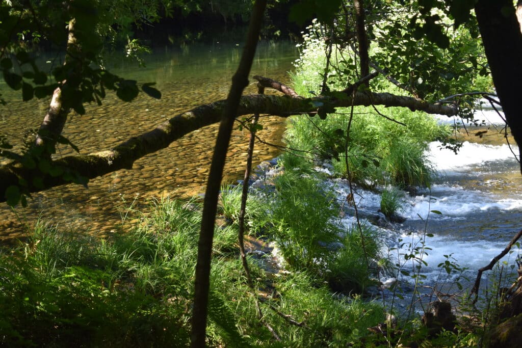 SendeirismoRIO