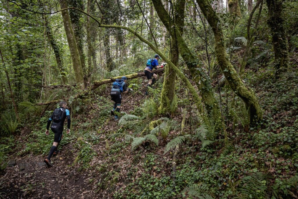 54450845578 f62617b7d3 o